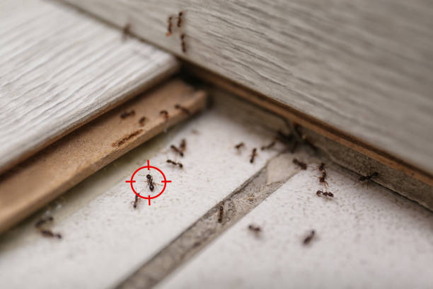 Best Mosquito Control Services  in Pleasant Gap, PA