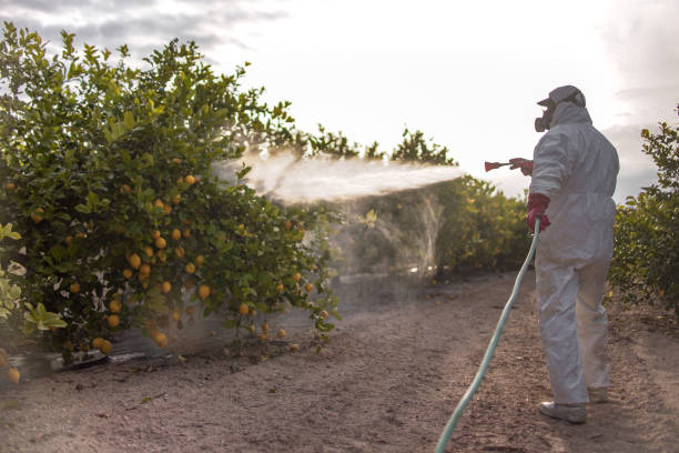Best Wasp Removal Services  in Pleasant Gap, PA