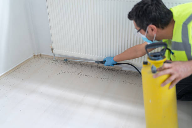 Trusted Pleasant Gap, PA Pest Control Experts